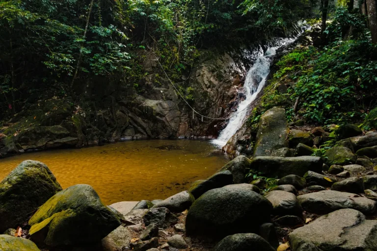 How Rainforest Pools Form Beneath Waterfalls