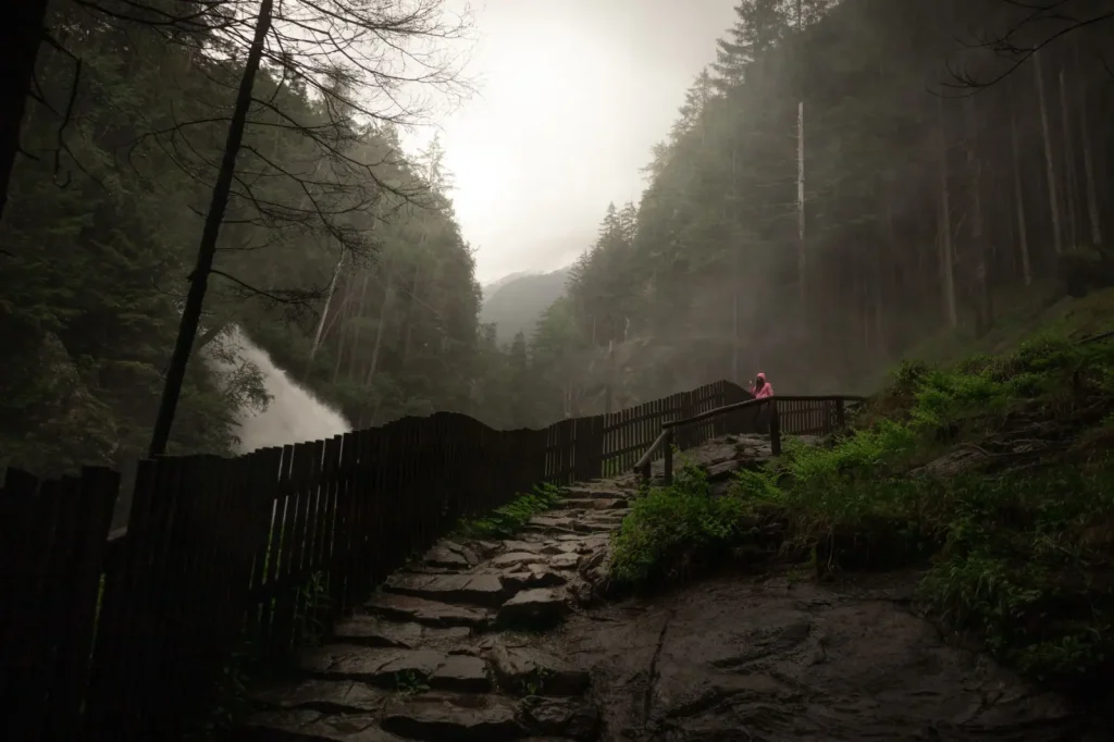 Rainforest Trails Worth Your Time on the Sunshine Coast