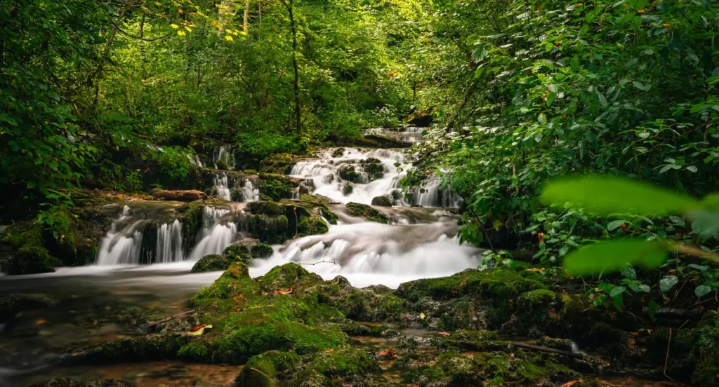 Finch Hatton Gorge Forest Walks: What Actually Happens on the Ground