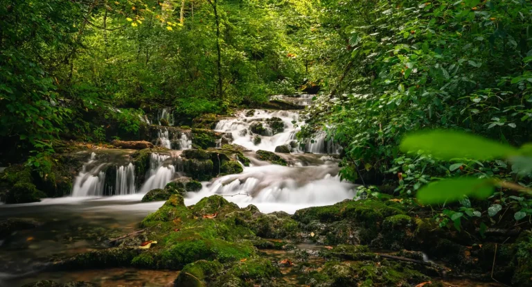 Finch Hatton Gorge Forest Walks: What Actually Happens on the Ground