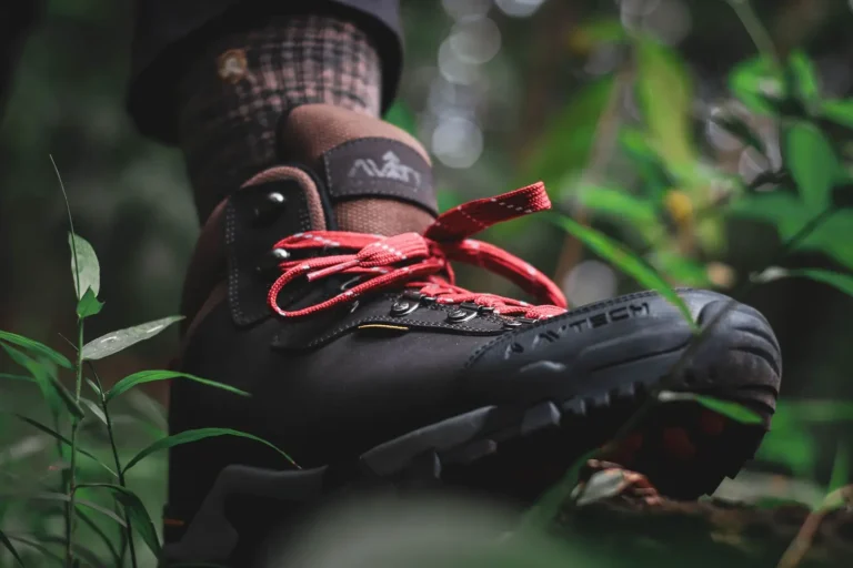 Walking Mount Field's Forest Trails: What the Ground Tells You