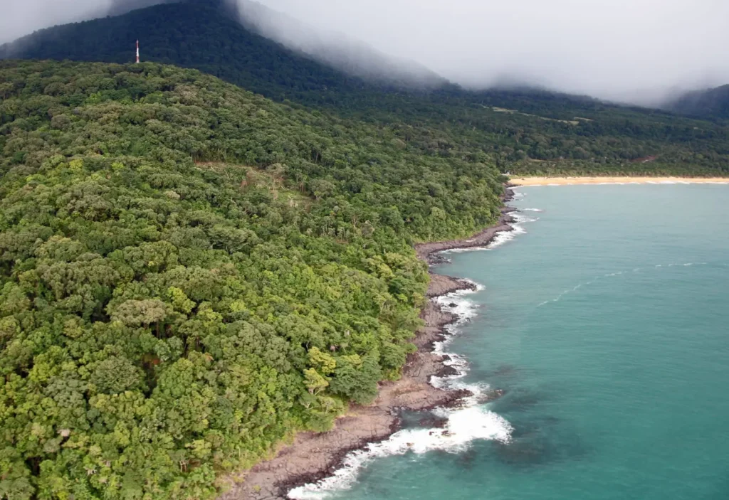 Rainforest Vegetation Shifts from Coast to Mountain