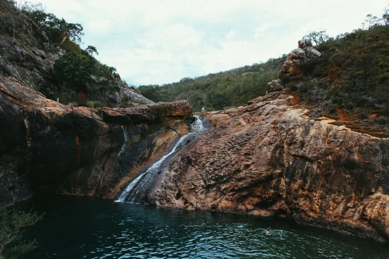 How Waterfalls Sculpt Rainforest Valley Systems