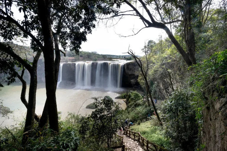 Walking the Elabana Falls Forest: What Actually Happens on the Trail