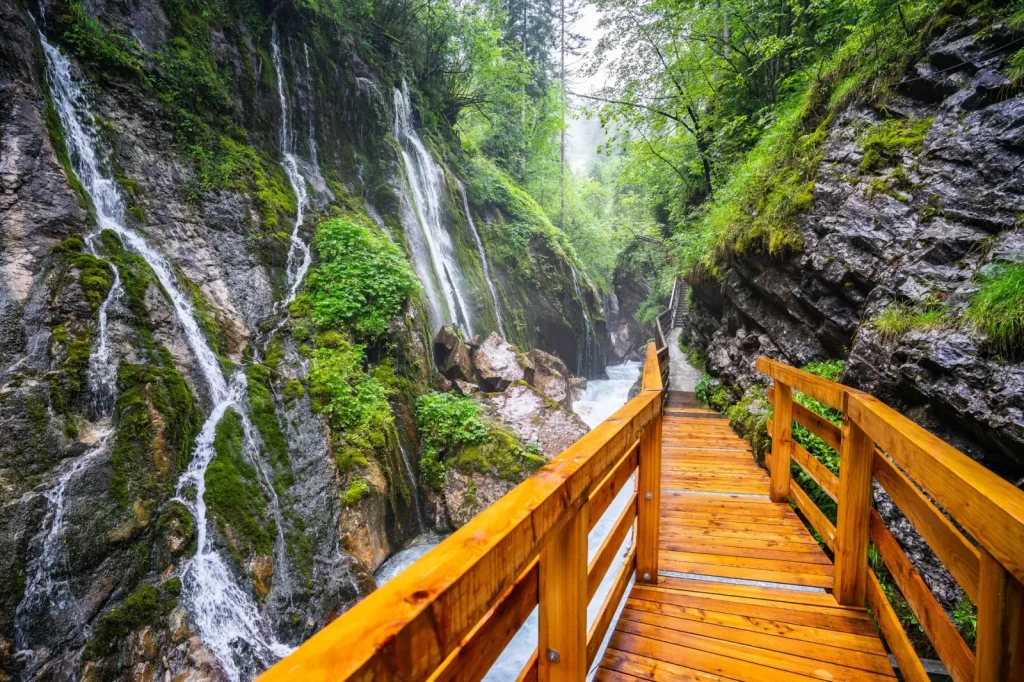 Forest Trails Around Crystal Shower Falls: What to Expect