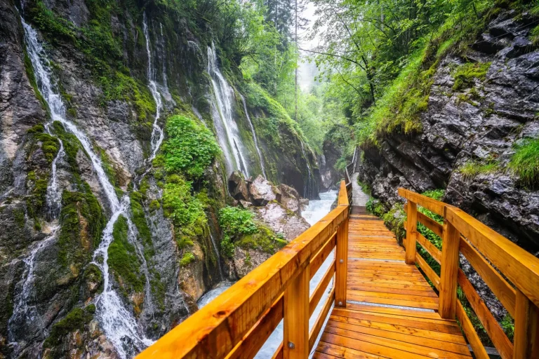 Forest Trails Around Crystal Shower Falls: What to Expect