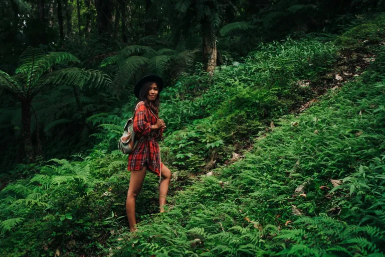 Walking Rainforests in Heat: What Actually Works Walking Rainforests in Heat: What Actually Works