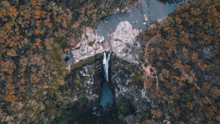 Forest Walking Around Minyon Falls: What the Trail Actually Demands Forest Walking Around Minyon Falls: What the Trail Actually Demands
