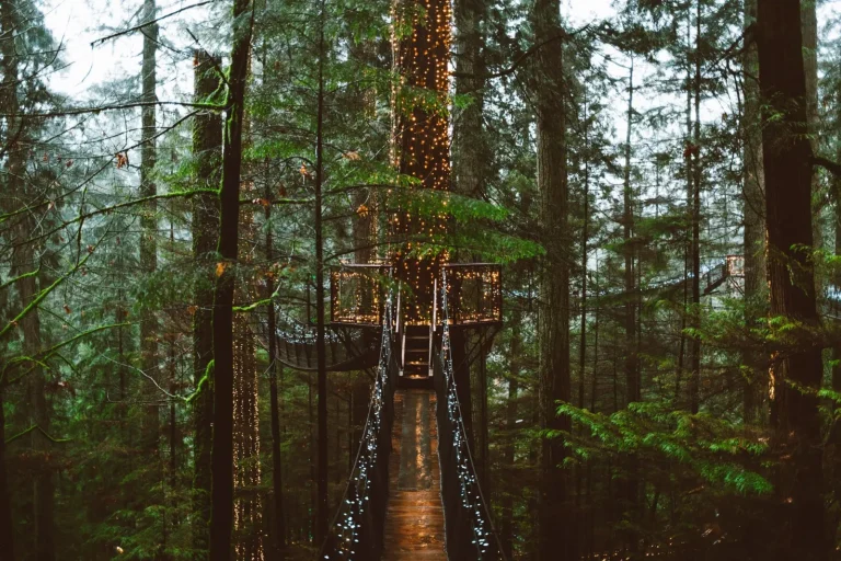 Rainforest Travel Without the Rush: Where Slow Movement Works Rainforest Travel Without the Rush: Where Slow Movement Works