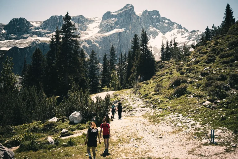 Forest Trails Around Mount Jerusalem: What the Ground Reveals