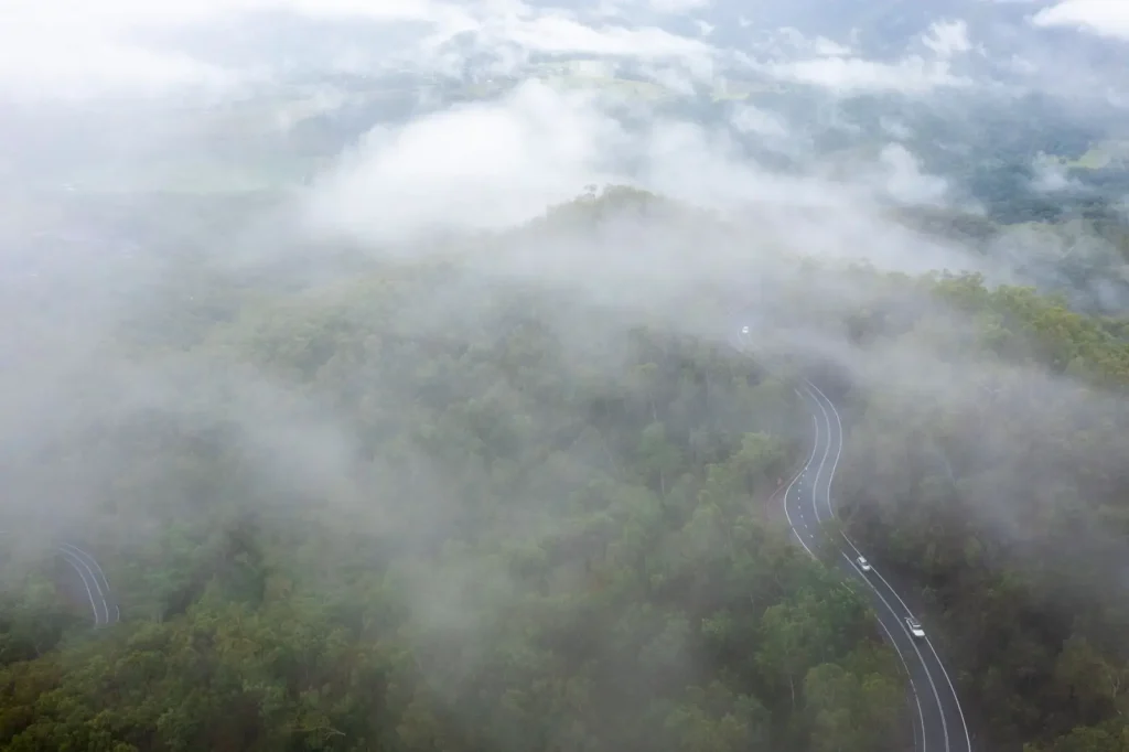 Rainforest Stops Worth Your Time on a Queensland Road Trip