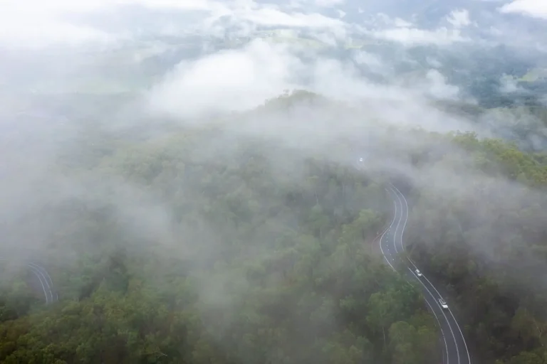 Rainforest Stops Worth Your Time on a Queensland Road Trip