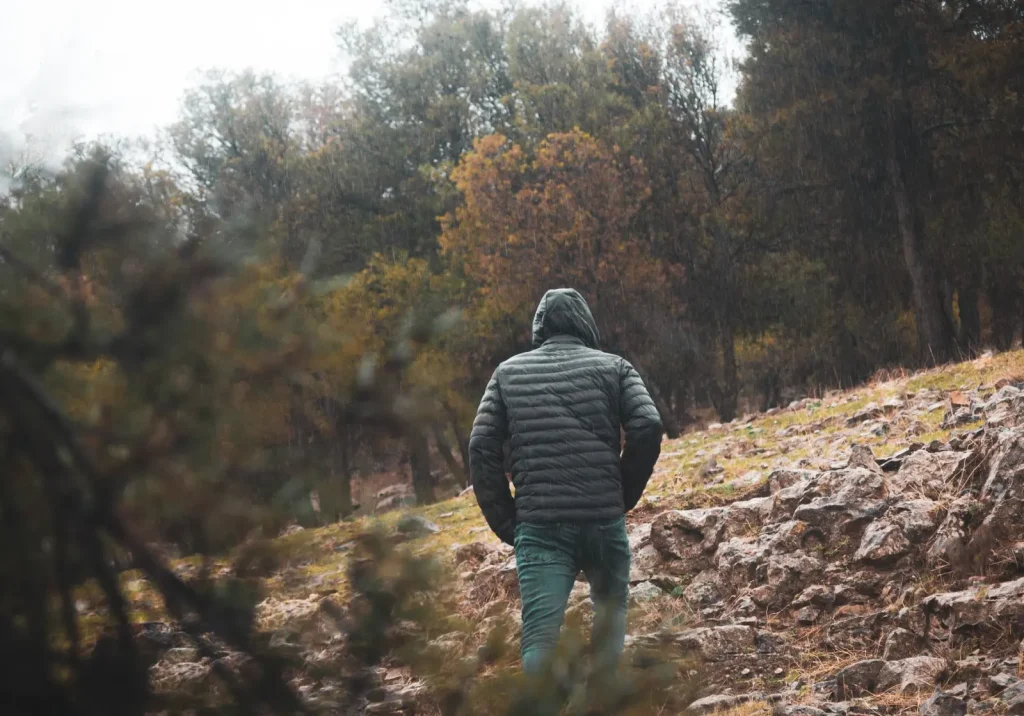 Forest Exploration Around Browns Falls: What Actually Works