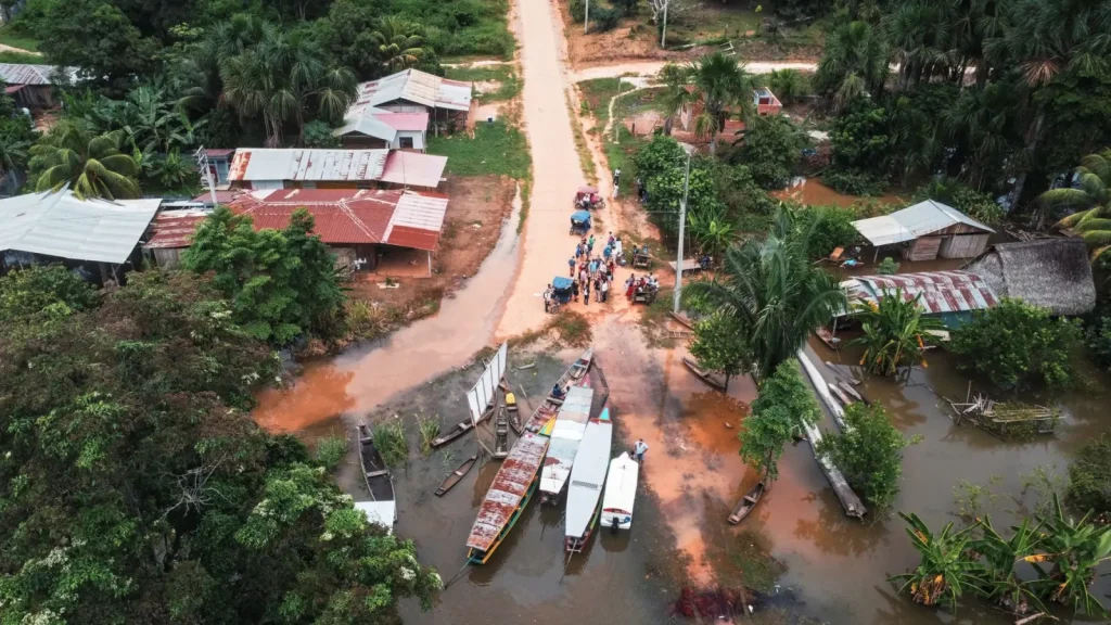 How Rainforest Plants Survive Seasonal Flooding