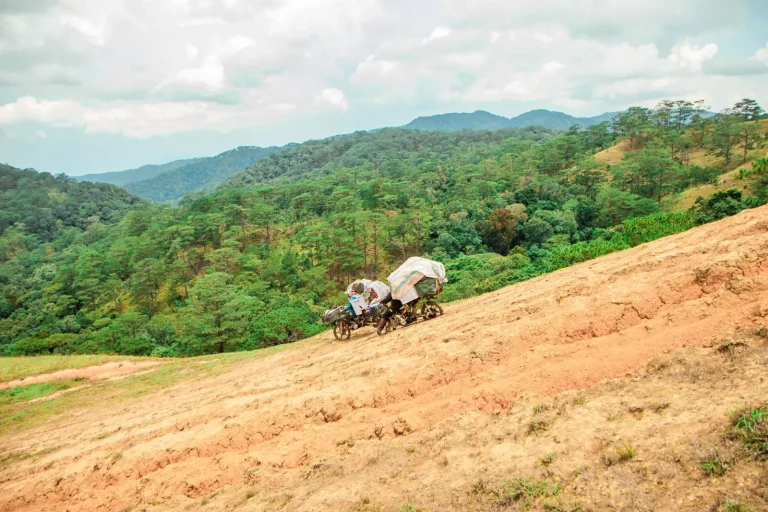 How Rainforest Plants Anchor Themselves on Steep Slopes