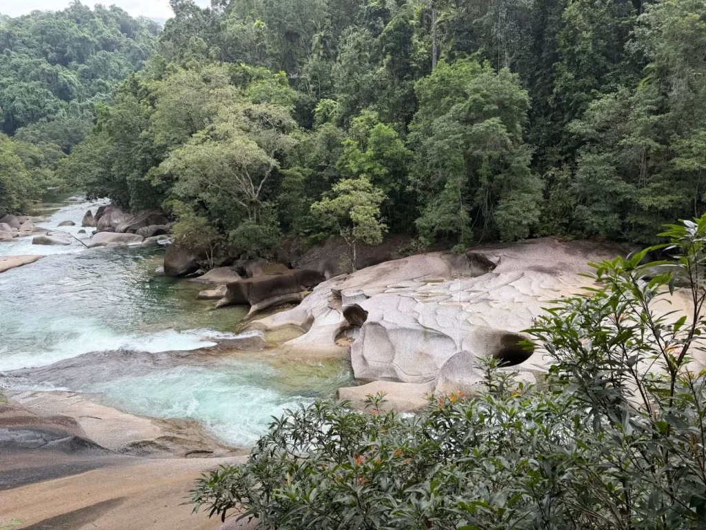Queensland Rainforest Headwaters: What You Actually Encounter