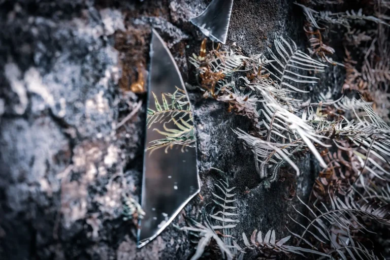 Rainforest Fragments Hold More Wildlife Than You'd Expect Rainforest Fragments Hold More Wildlife Than You'd Expect