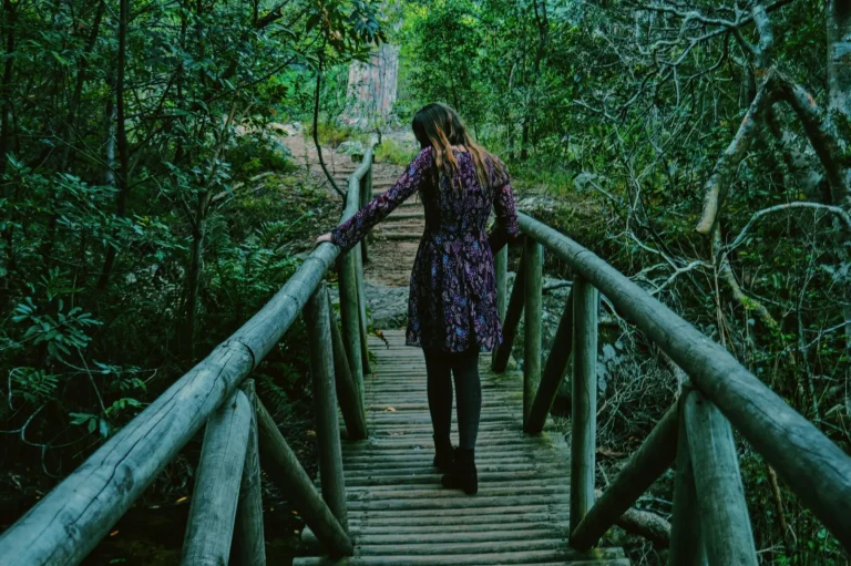 Rainforest Walks on the Sunshine Coast: What Actually Works