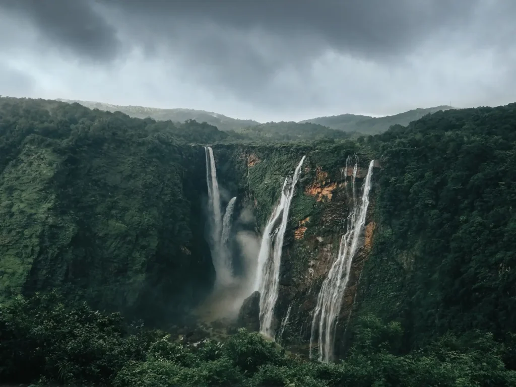 Kondalilla Falls After Rain: What the Forest Actually Looks Like