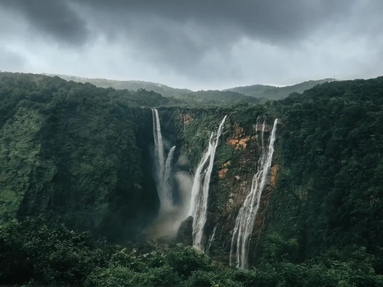 Kondalilla Falls After Rain: What the Forest Actually Looks Like Kondalilla Falls After Rain: What the Forest Actually Looks Like