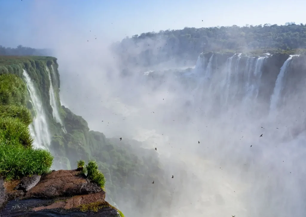 Why Waterfalls Create Ecological Hotspots