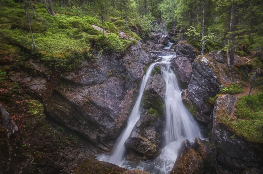 Walking Curtis Falls Forest Without the Crowds